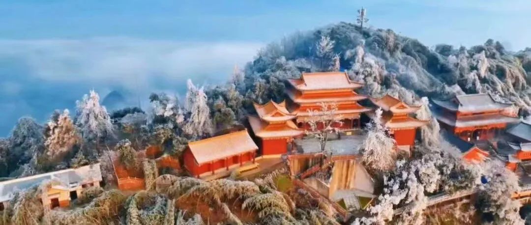 富硒果是什么样的水果