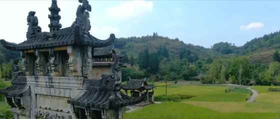 富硒果是什么样的水果