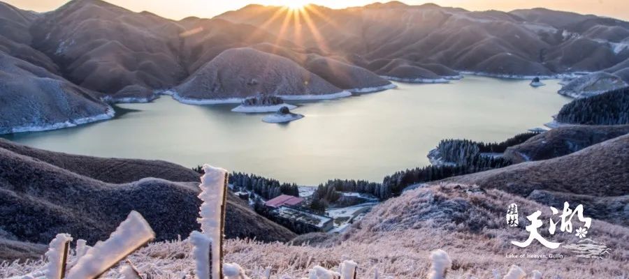 富硒果是什么样的水果