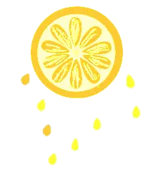 富硒水果无花果的功效