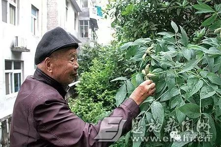 湖北恩施盛硒源硒产品