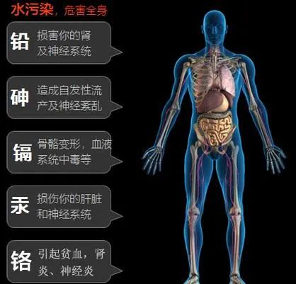 桥本甲状腺吃含硒产品