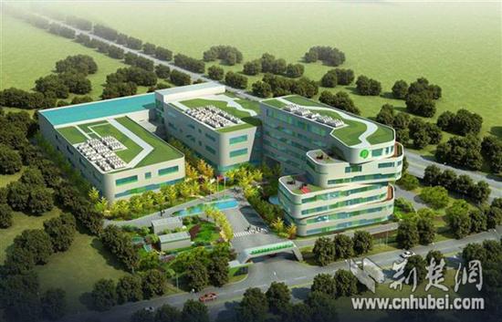 湖北恩施的硒产品公司