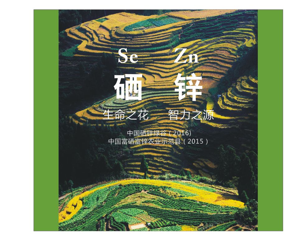 什么产品富含锌硒元素