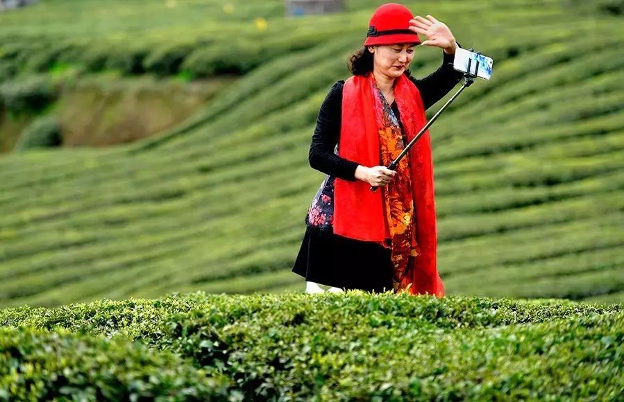 地理标志产品恩施硒茶