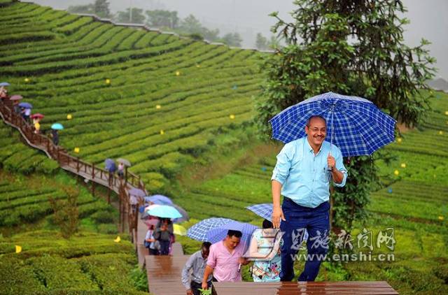 地理标志产品恩施硒茶