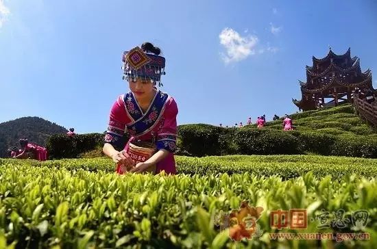 地理标志产品恩施硒茶