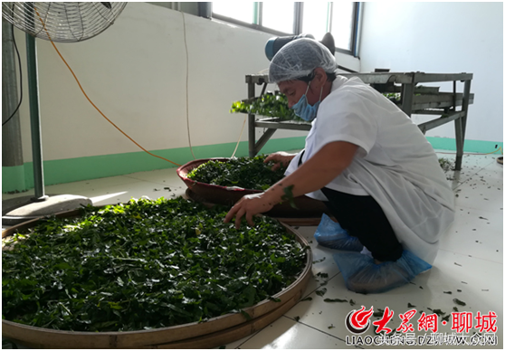 硒等微量元素产品推广