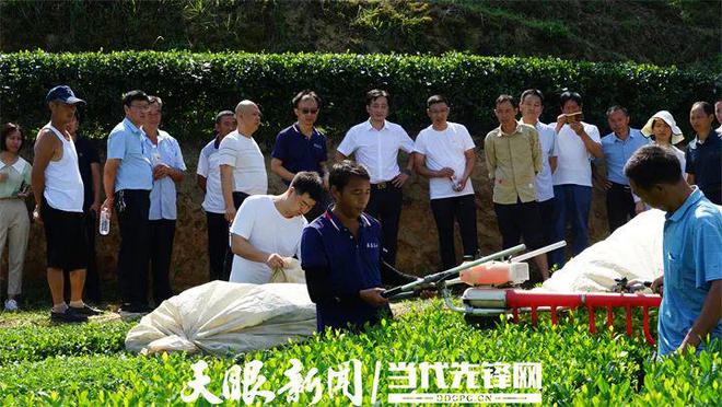 凤冈锌硒茶产品标准号