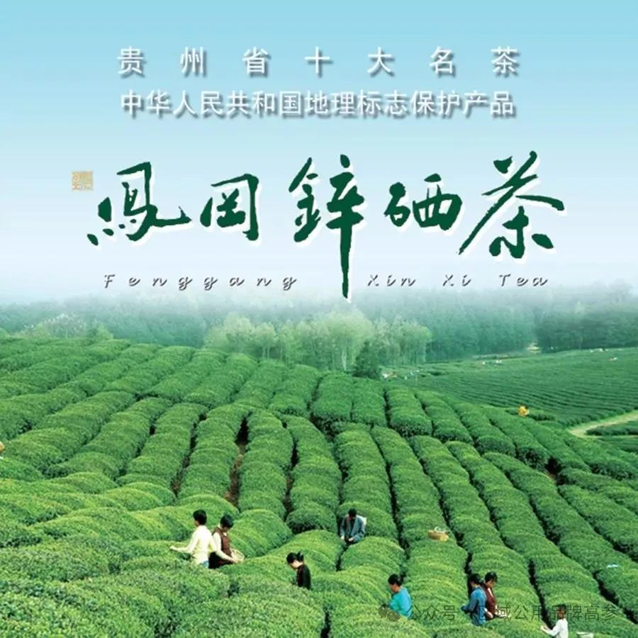 凤冈锌硒茶的产品介绍
