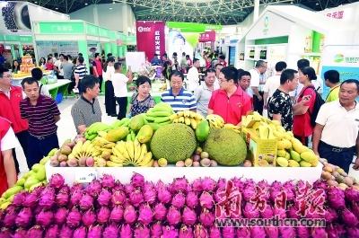 徐闻丰硒良姜公司产品