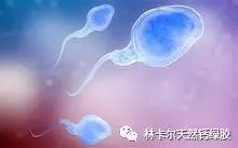 备孕哪个锌硒产品最好