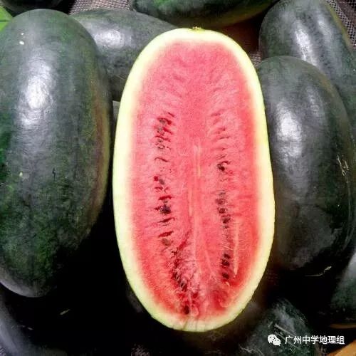 硒砂瓜农产品地理标志