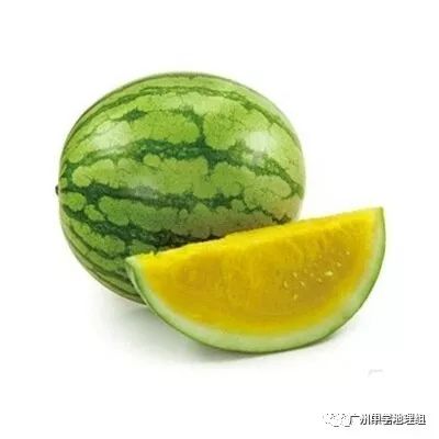 硒砂瓜农产品地理标志