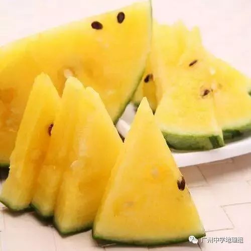硒砂瓜农产品地理标志