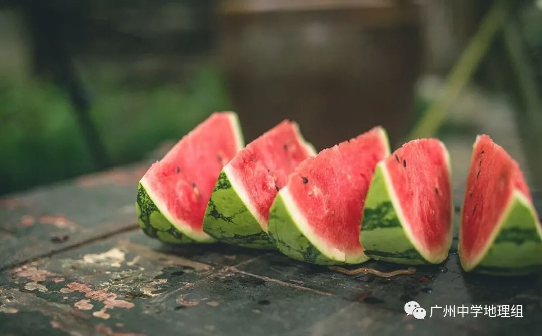 硒砂瓜农产品地理标志