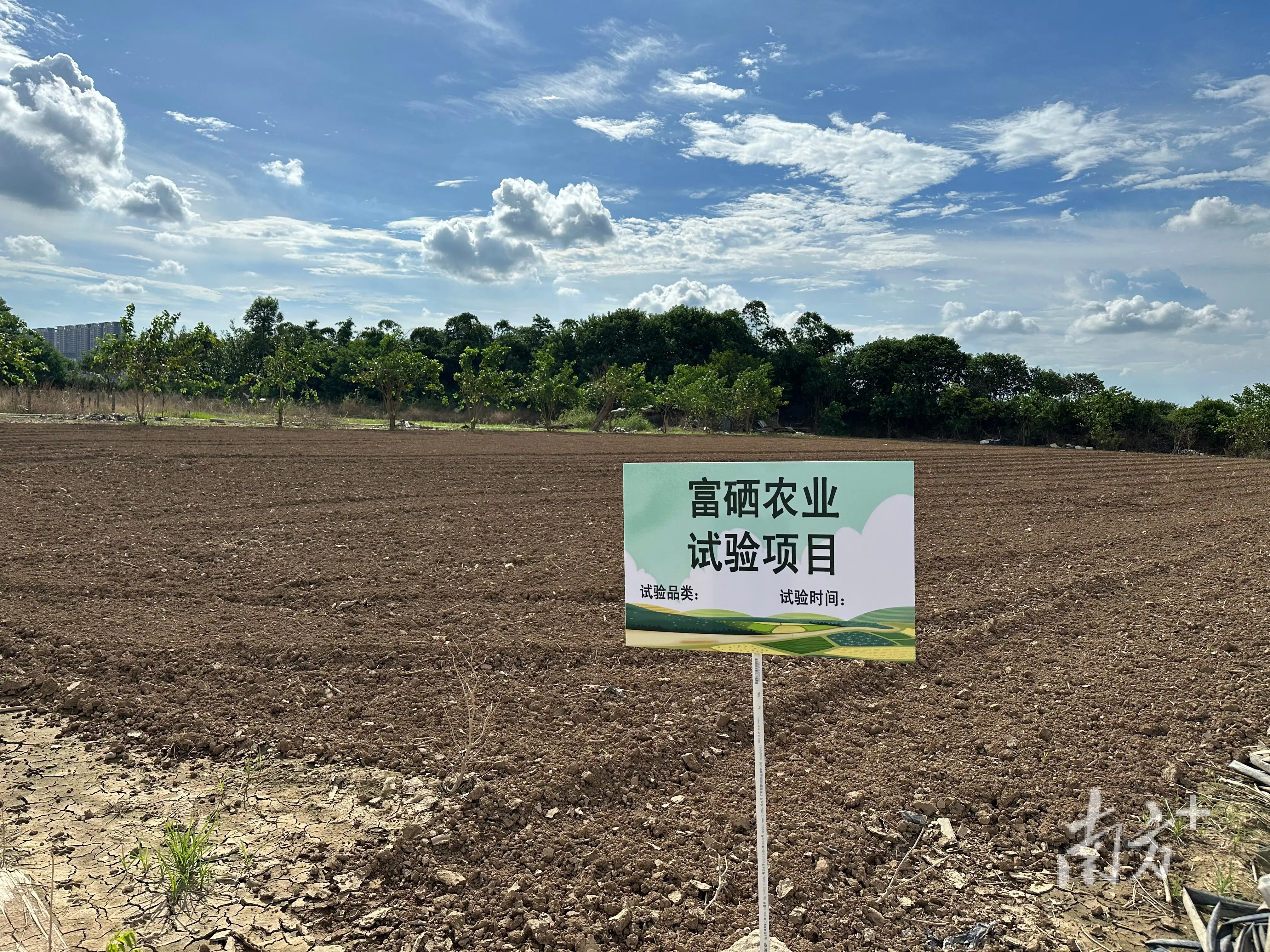 广东富硒农产品的种植