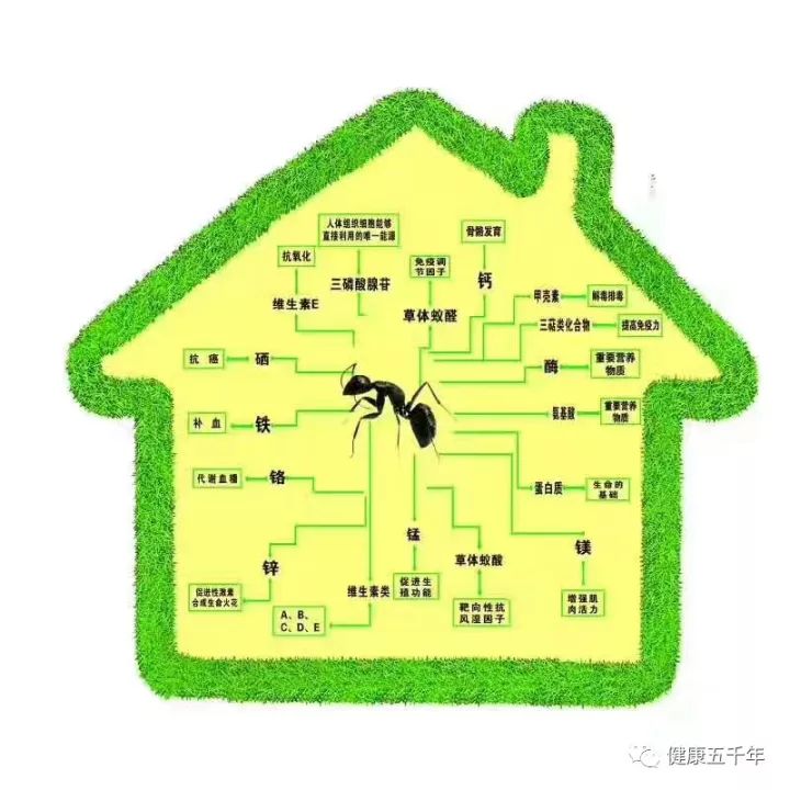 超微系列碘钴硒铬产品