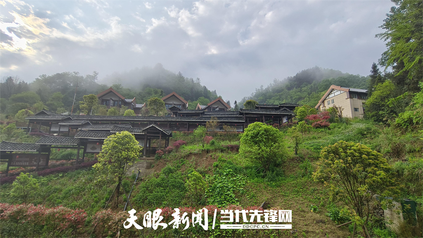 凤冈县锌硒茶产品品牌