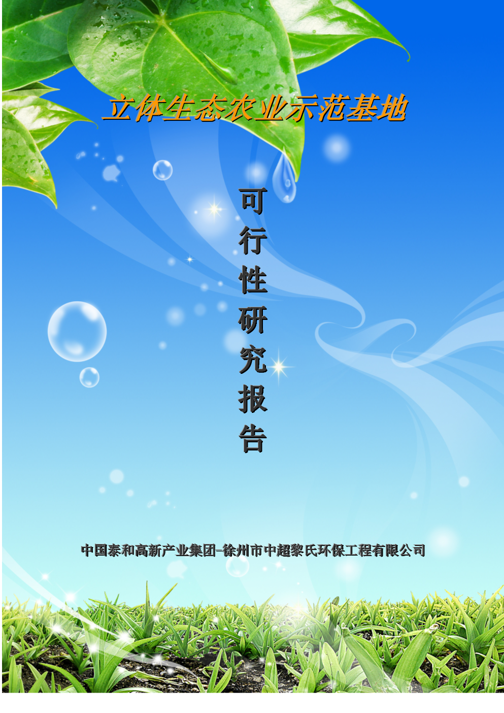 硒农产品 可行性报告