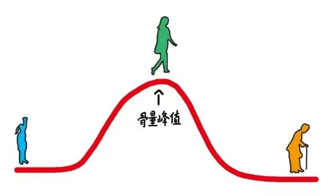 青年人补钙哪个效果好