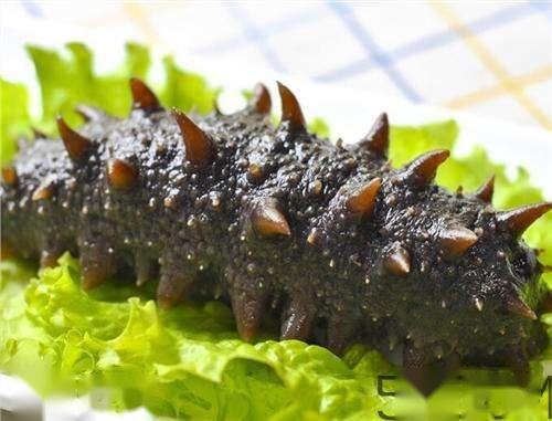海参哪些部位不能吃？海参的禁忌人群