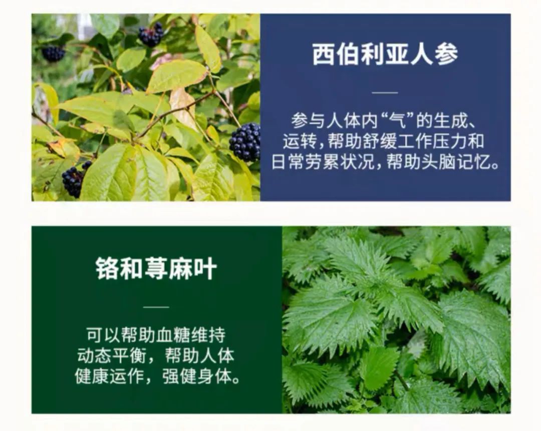 男人硒锌宝哪个牌子好