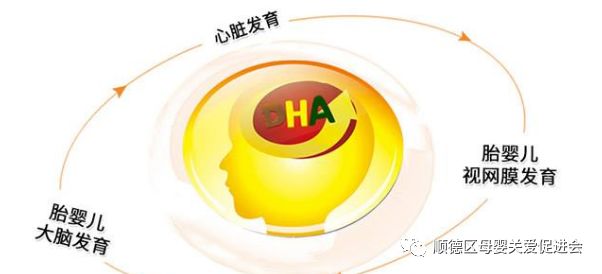 男性备孕吃哪种硒锌宝