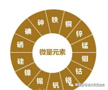 男性备孕吃哪种硒锌宝
