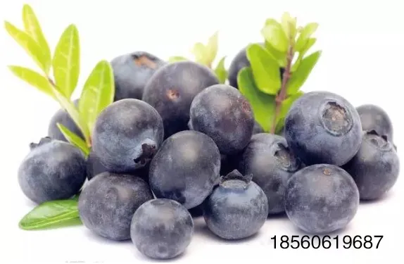 食疗补钙吃什么效果最好