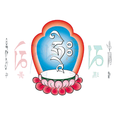 食疗补钙吃什么效果最好