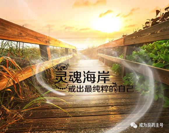 锌硒宝备孕能不能多吃