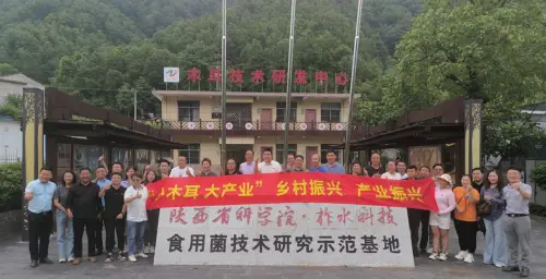 什么是517全民补硒日