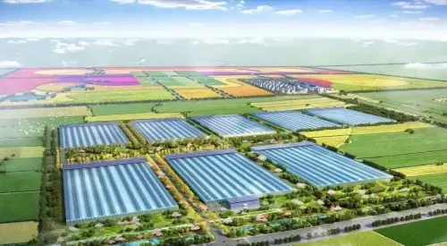 什么是517全民补硒日