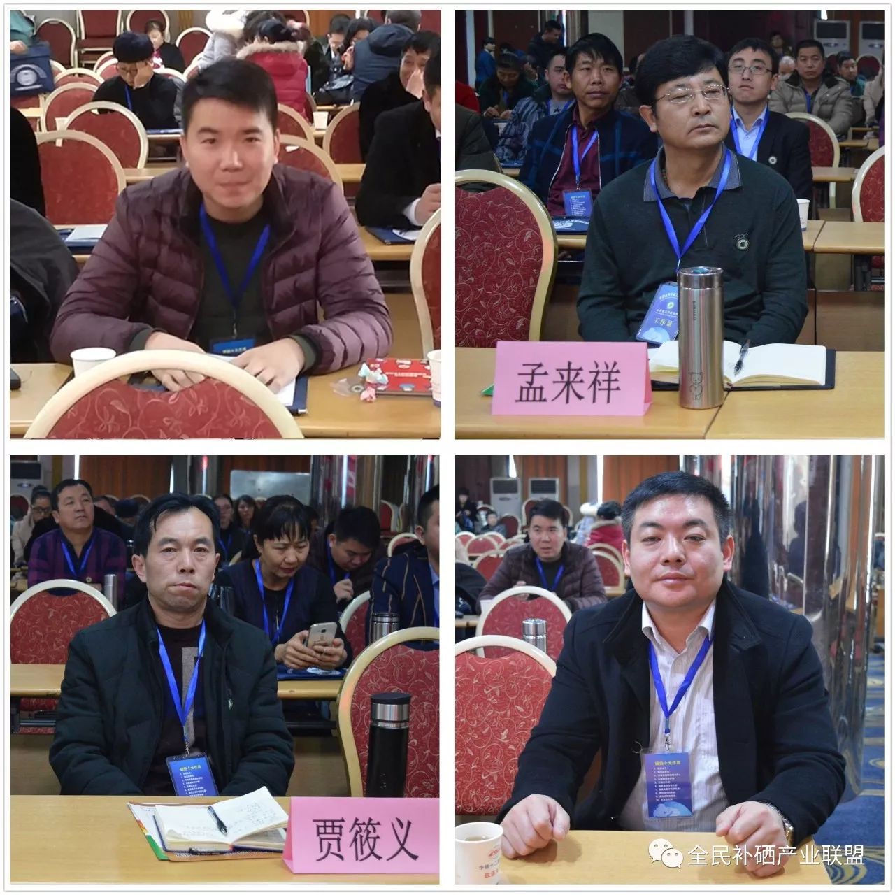 有全民补硒这个i工程吗