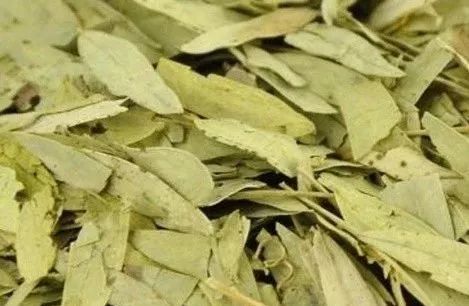补硒吃药品还是保健品呢