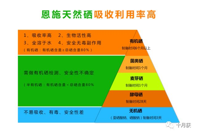 中国补硒协会补硒推荐量