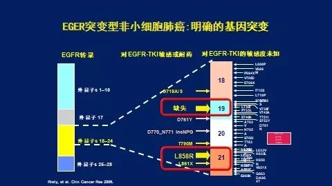 儿童体检缺硒怎么补硒呢