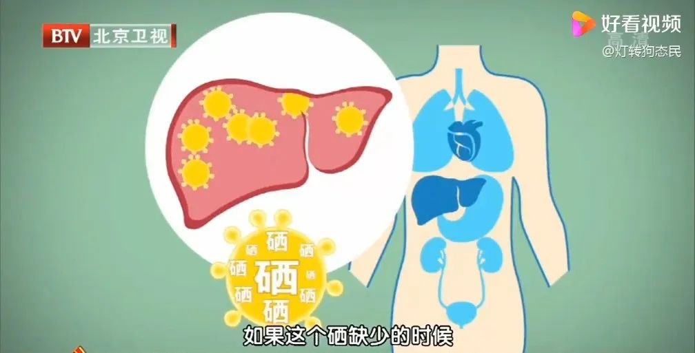 人体缺硒怎么办如何补硒