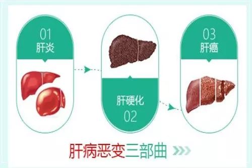 肝硬化每天补硒酵母多少