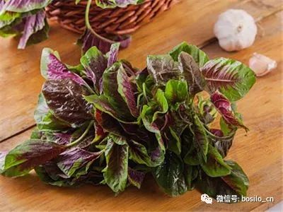 日常食物怎么补硒的最快