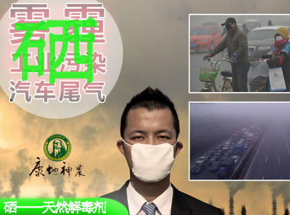 人体如何补硒元素呢视频