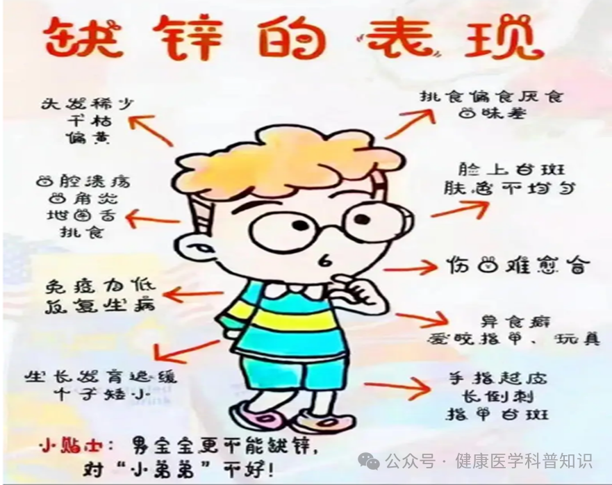 小孩补锌什么时间吃效果最佳