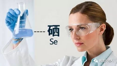 什么瓜果可以补硒元素呢