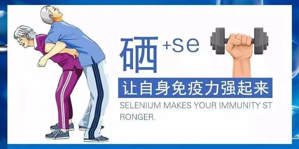 动物补硒制剂有哪些药名