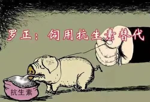 动物补硒制剂有哪些药名