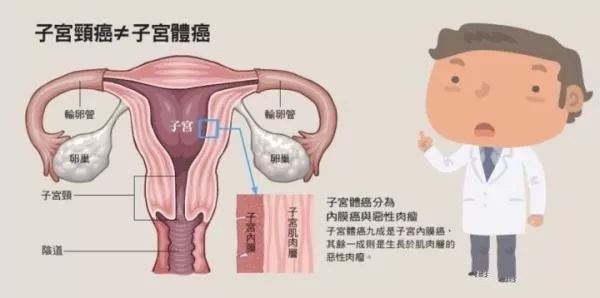 hpv病毒感染补什么硒