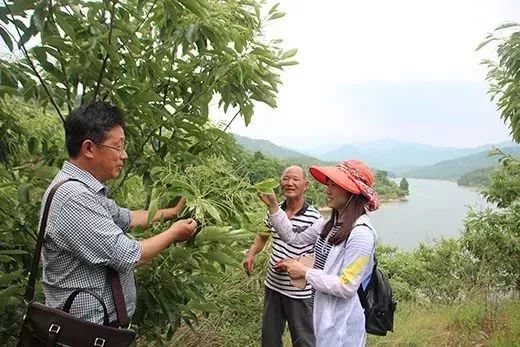 全国补硒健康工程管理办