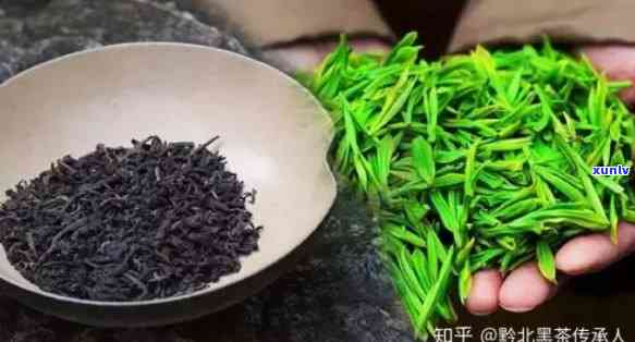 含硒的茶叶哪个吸收，比较不同含硒茶叶的吸收效果，哪个更好？
