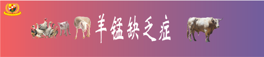 羔羊补硒过量中毒怎么解